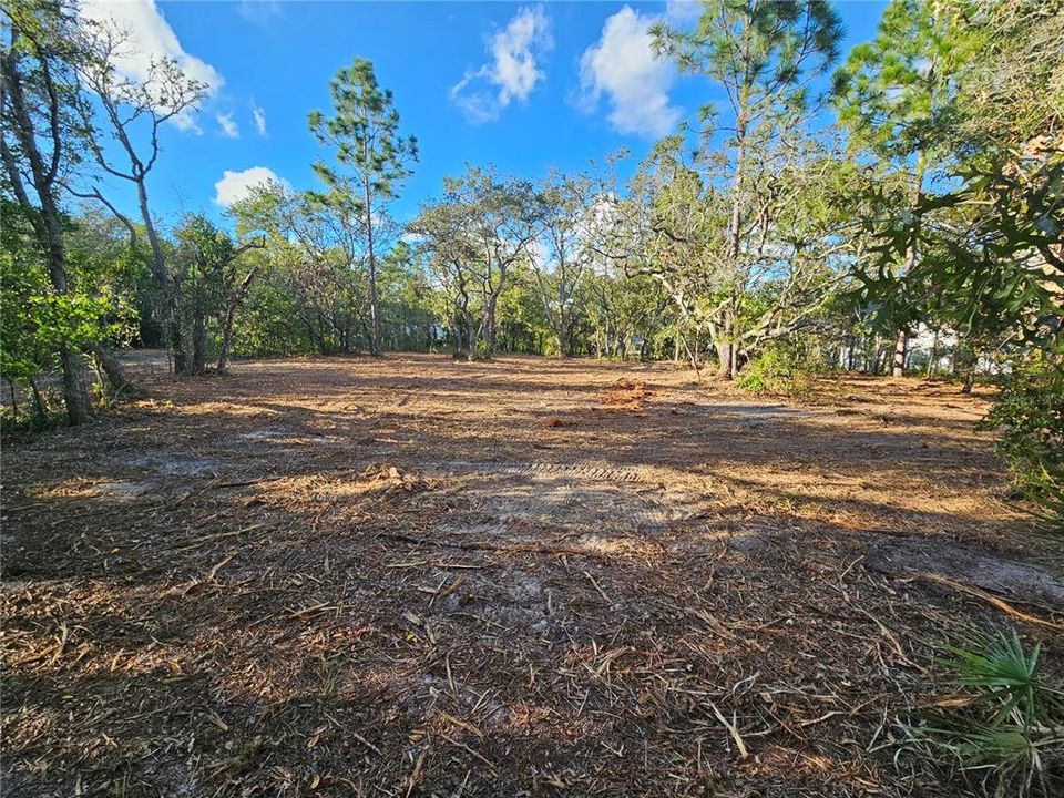 Activo con contrato: $69,900 (1.13 acres)