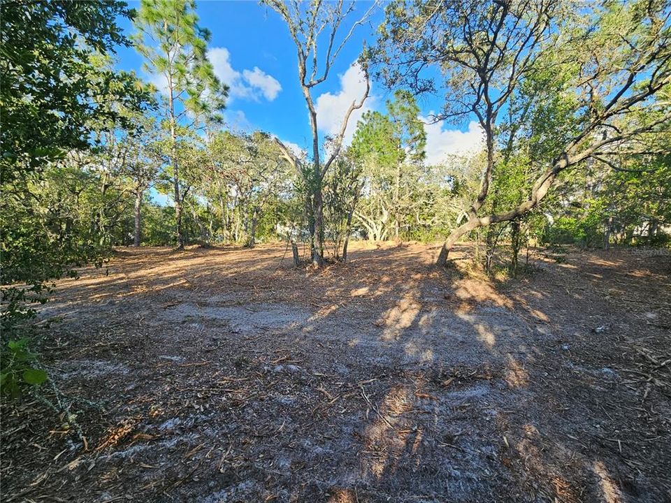 Activo con contrato: $69,900 (1.13 acres)