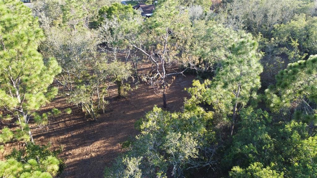 Activo con contrato: $69,900 (1.13 acres)