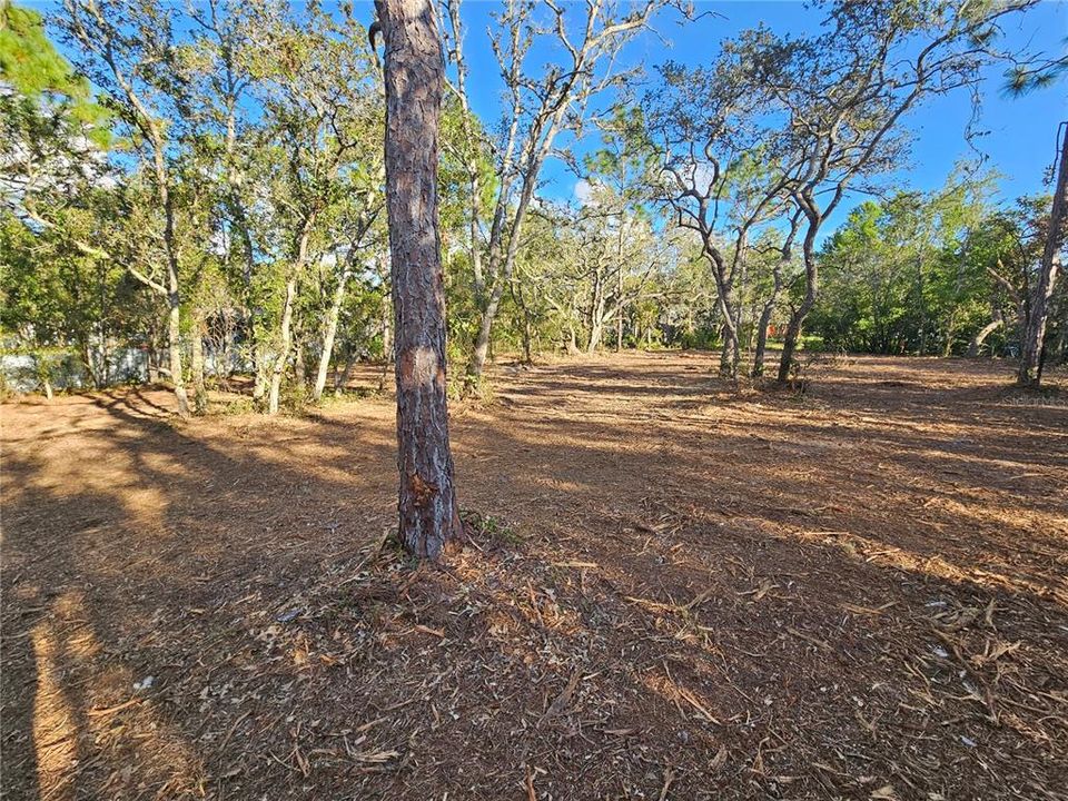 Activo con contrato: $69,900 (1.13 acres)