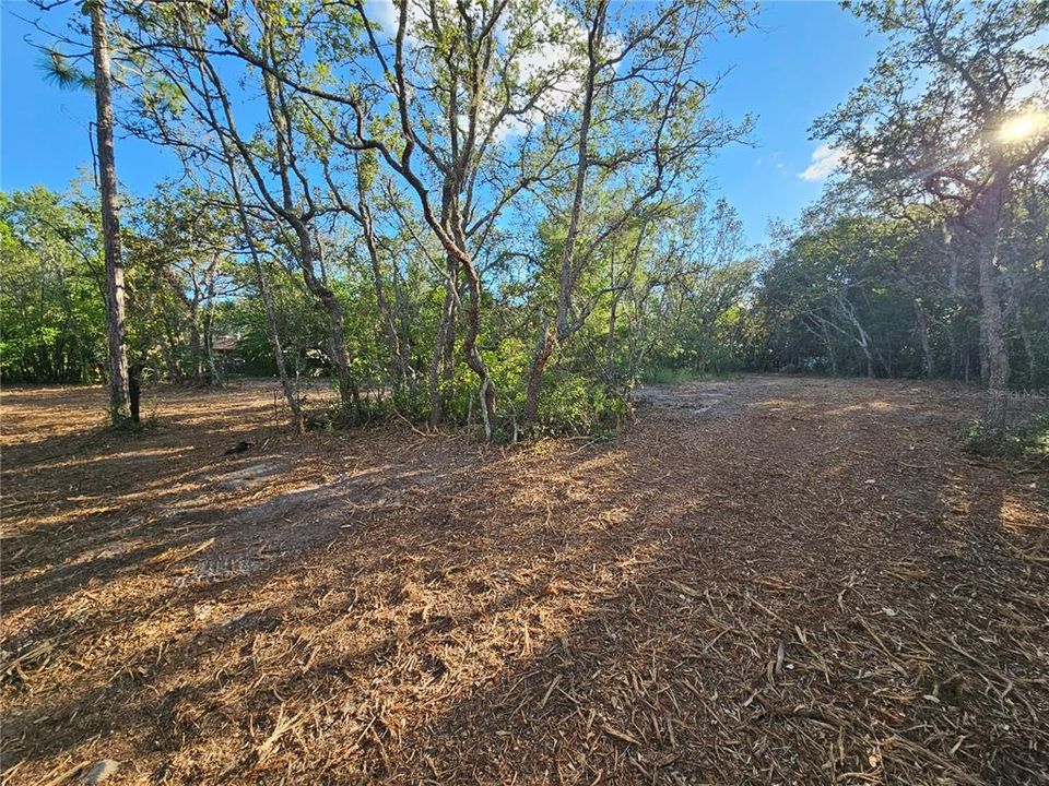 Activo con contrato: $69,900 (1.13 acres)