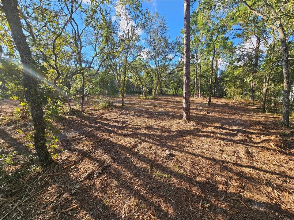Activo con contrato: $69,900 (1.13 acres)