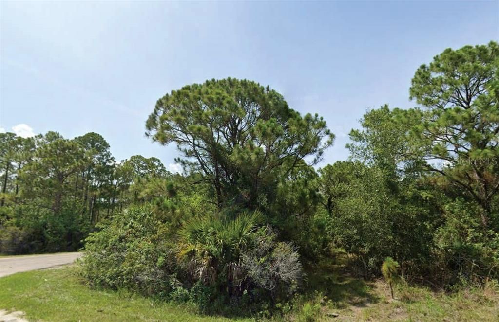 En Venta: $10,000 (0.29 acres)