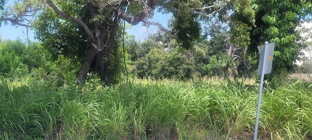 На продажу: $120,000 (0.21 acres)