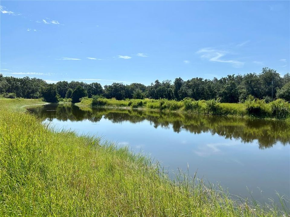For Sale: $620,000 (3 beds, 2 baths, 2004 Square Feet)