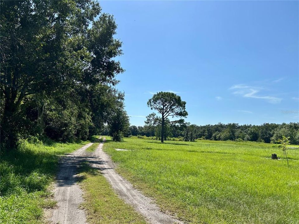 For Sale: $620,000 (3 beds, 2 baths, 2004 Square Feet)