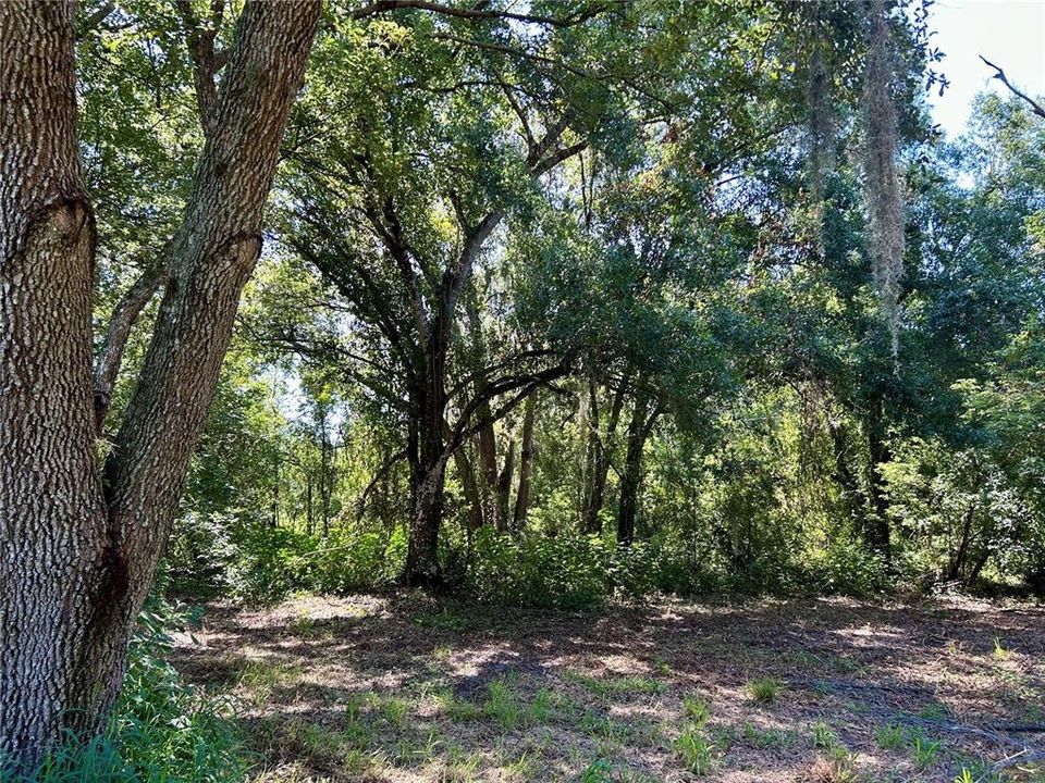 For Sale: $620,000 (3 beds, 2 baths, 2004 Square Feet)