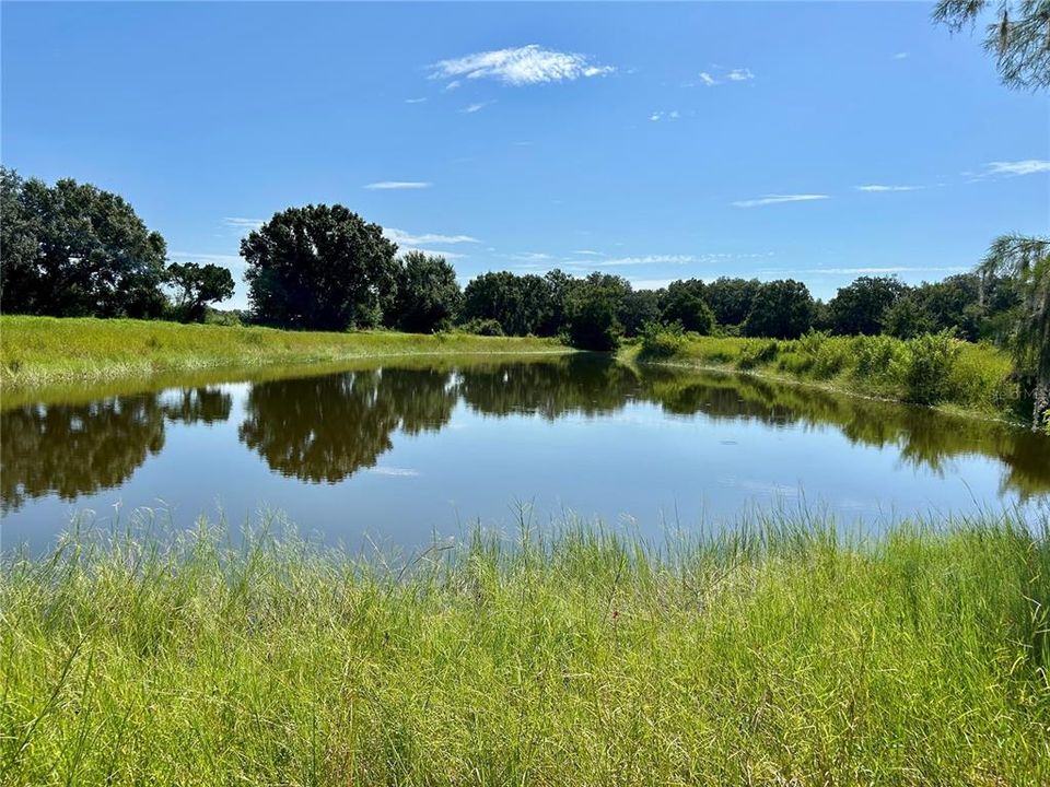 For Sale: $620,000 (3 beds, 2 baths, 2004 Square Feet)