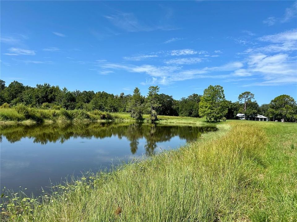 For Sale: $620,000 (3 beds, 2 baths, 2004 Square Feet)