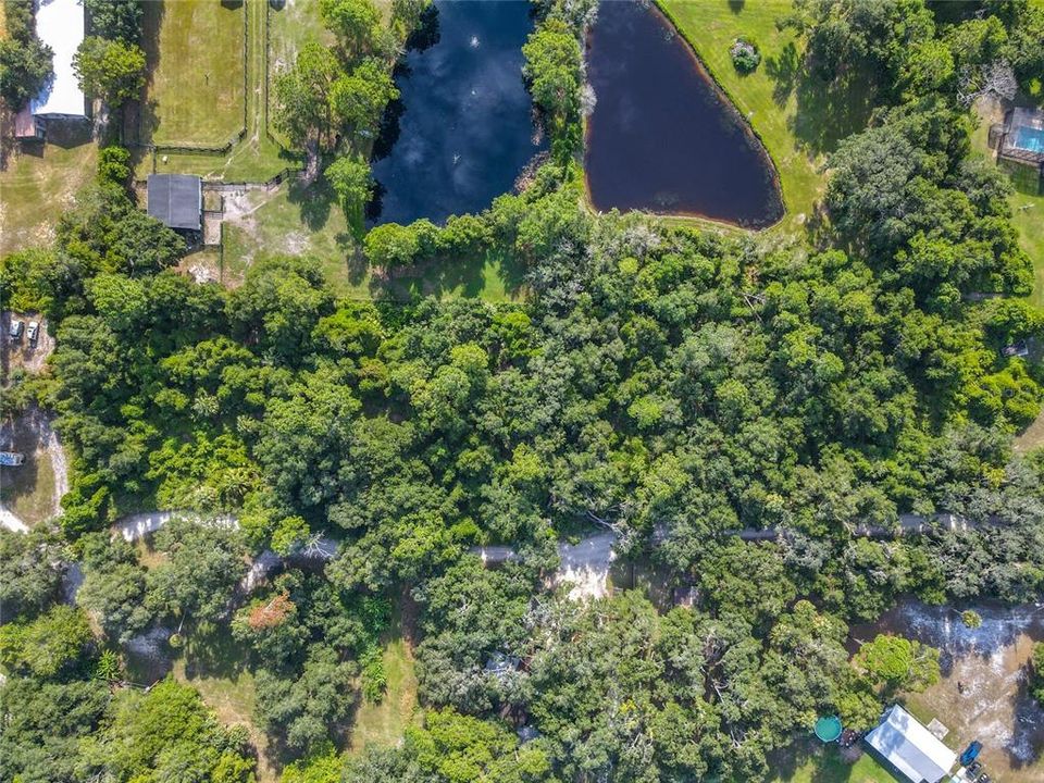 For Sale: $162,000 (3.00 acres)