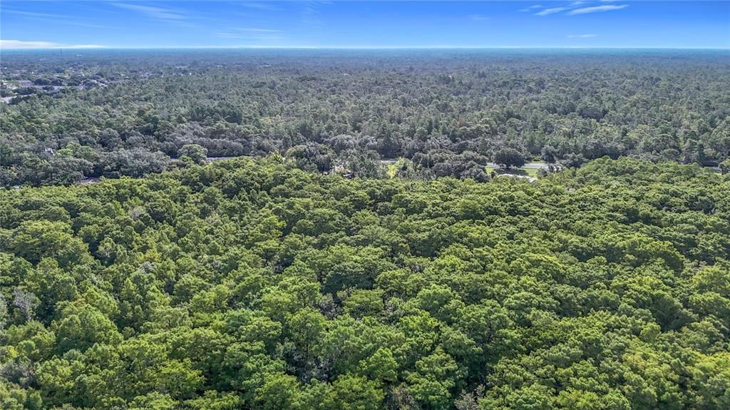 Под контрактом: $139,999 (4.00 acres)