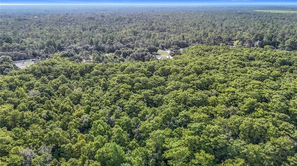 Под контрактом: $139,999 (4.00 acres)