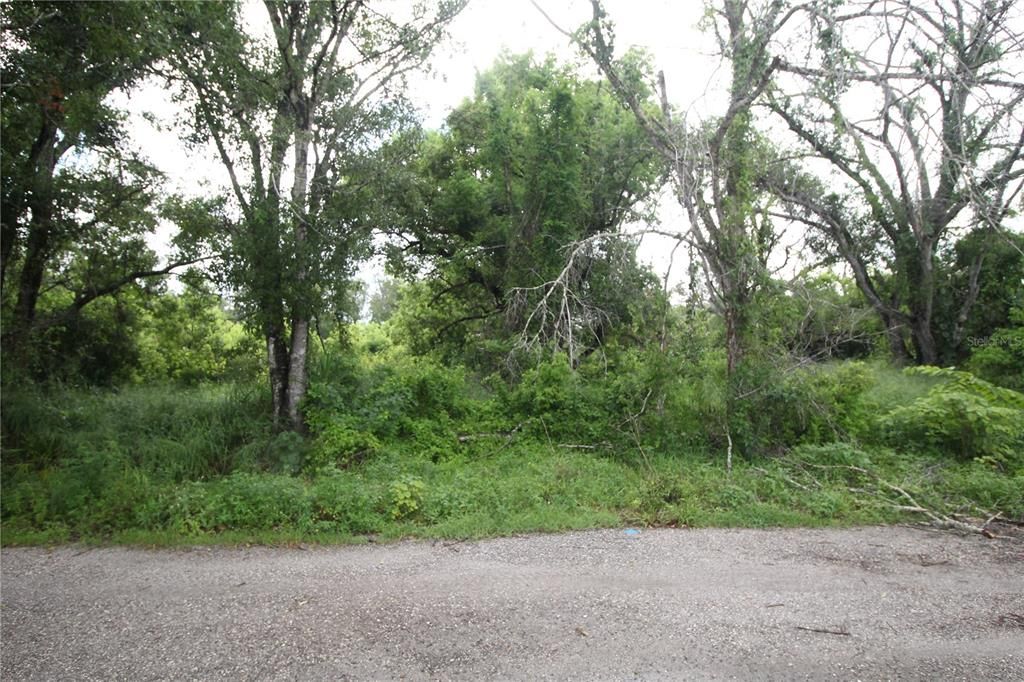 На продажу: $17,900 (0.23 acres)