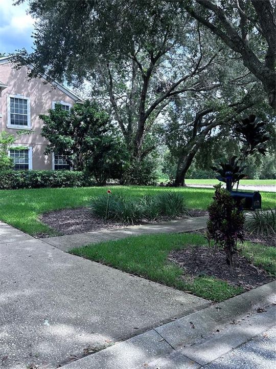 出租: $3,995 (5 贝兹, 4 浴室, 3593 平方英尺)