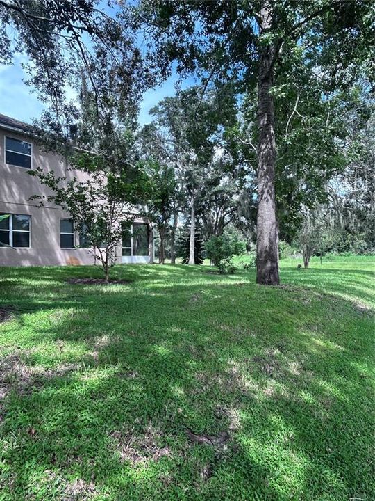 出租: $3,995 (5 贝兹, 4 浴室, 3593 平方英尺)