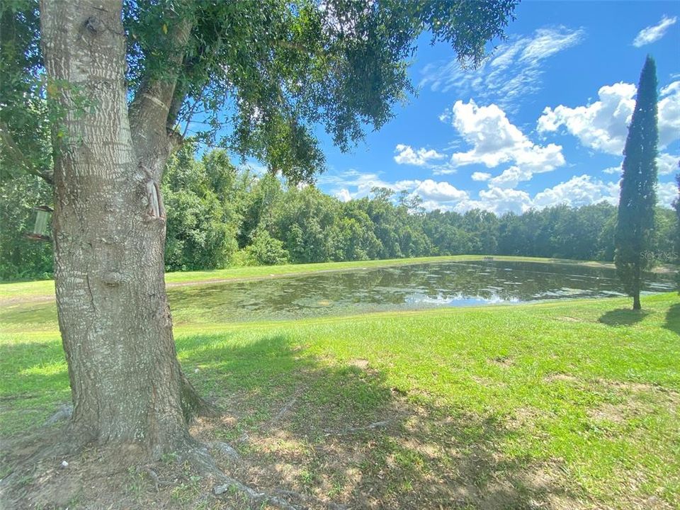 Под контрактом: $2,495 (4 спален, 3 ванн, 2995 Квадратных фут)