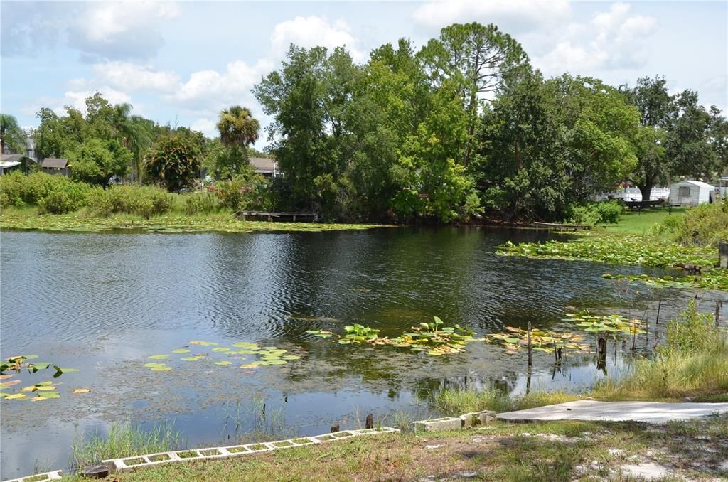 待售: $500,000 (4 贝兹, 2 浴室, 1780 平方英尺)