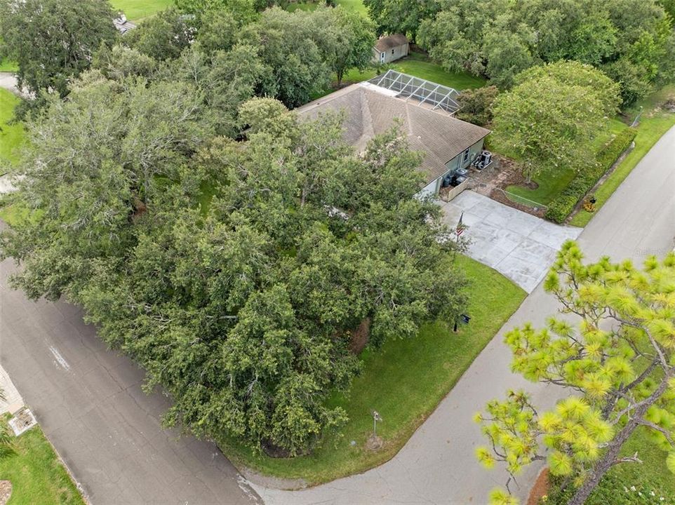 待售: $494,000 (3 贝兹, 2 浴室, 2285 平方英尺)