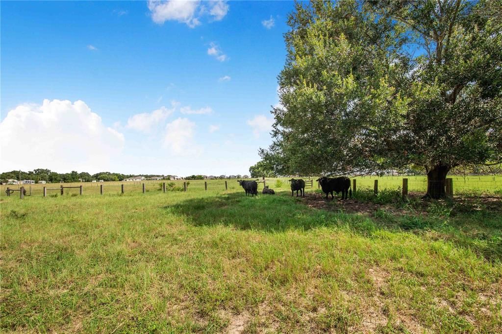 En Venta: $619,000 (3 camas, 2 baños, 2403 Pies cuadrados)