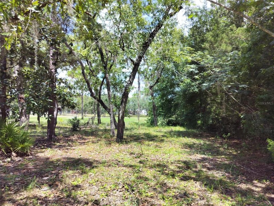 На продажу: $17,000 (0.20 acres)