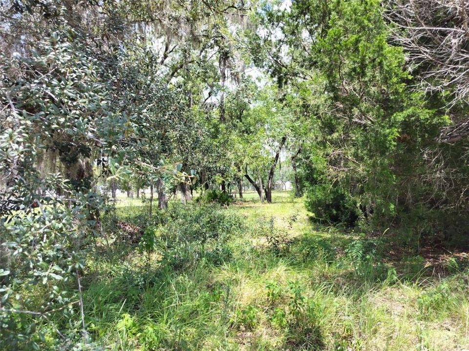 На продажу: $17,000 (0.20 acres)