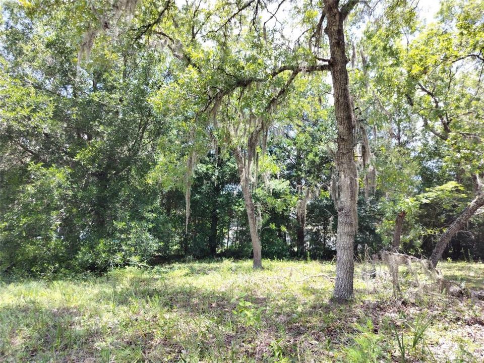 На продажу: $17,000 (0.20 acres)