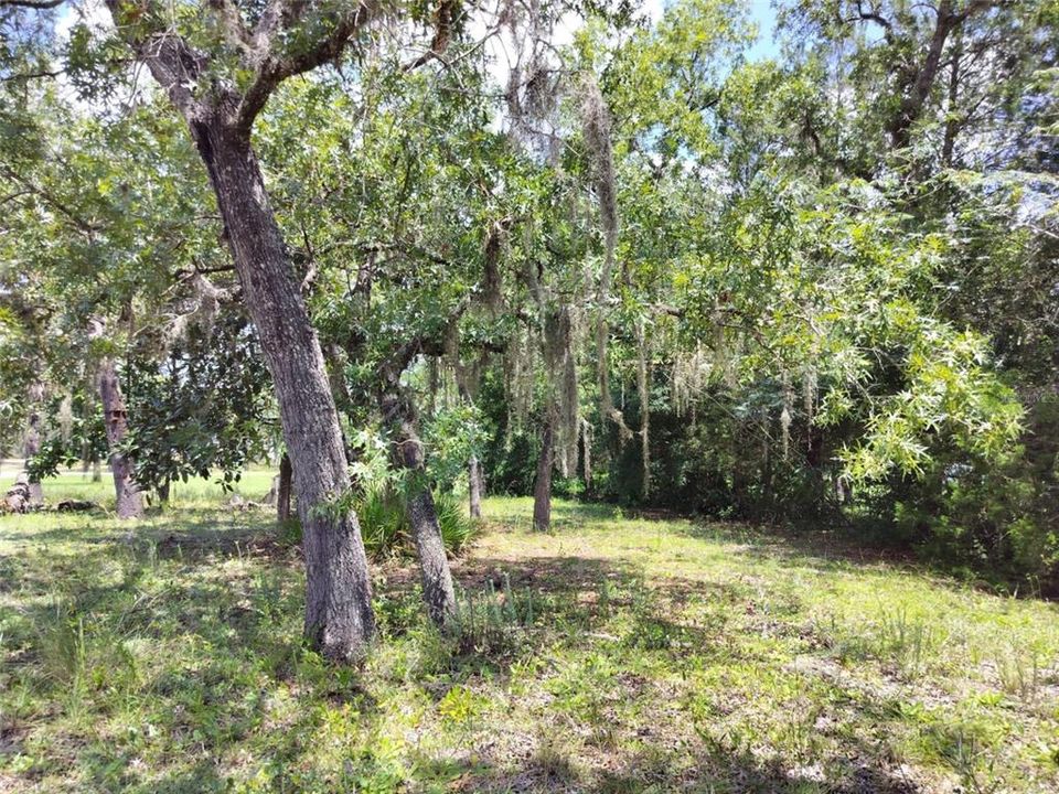 На продажу: $17,000 (0.20 acres)