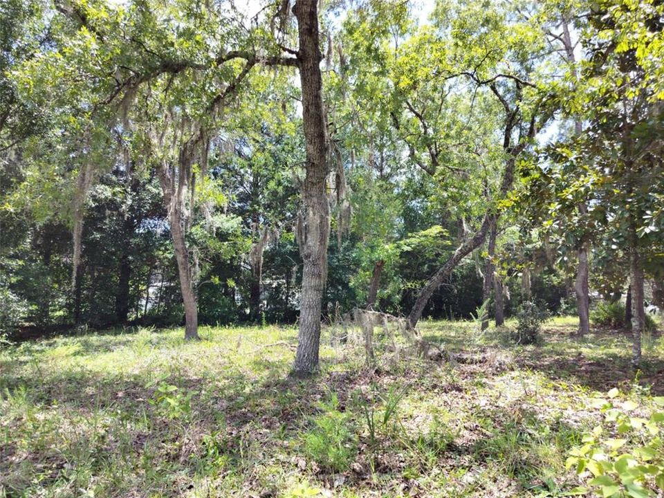 На продажу: $17,000 (0.20 acres)