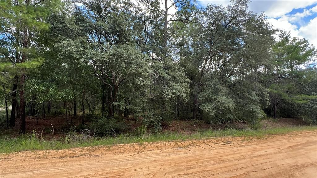 For Sale: $13,500 (0.22 acres)