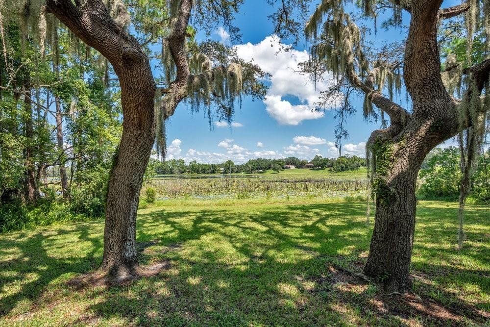 待售: $499,900 (4 贝兹, 2 浴室, 2375 平方英尺)