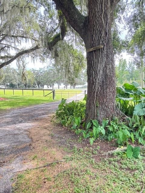 For Sale: $485,000 (4 beds, 2 baths, 2040 Square Feet)