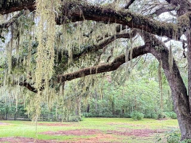 For Sale: $485,000 (4 beds, 2 baths, 2040 Square Feet)