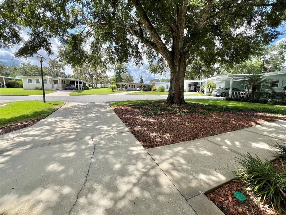 На продажу: $199,000 (2 спален, 2 ванн, 1274 Квадратных фут)