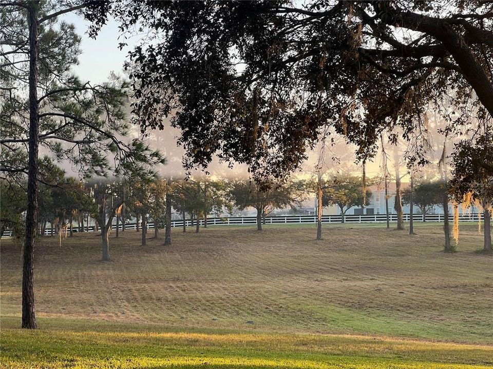 For Sale: $1,675,000 (3 beds, 2 baths, 2474 Square Feet)