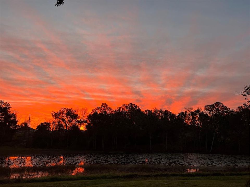 For Sale: $1,675,000 (3 beds, 2 baths, 2474 Square Feet)