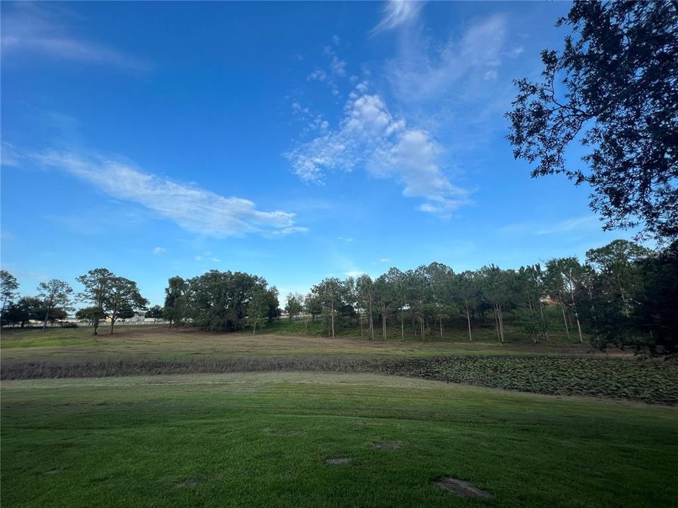 For Sale: $1,675,000 (3 beds, 2 baths, 2474 Square Feet)