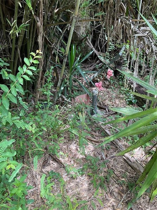 На продажу: $295,500 (2 спален, 1 ванн, 960 Квадратных фут)