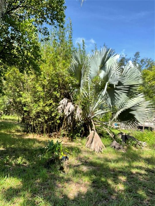 На продажу: $295,500 (2 спален, 1 ванн, 960 Квадратных фут)