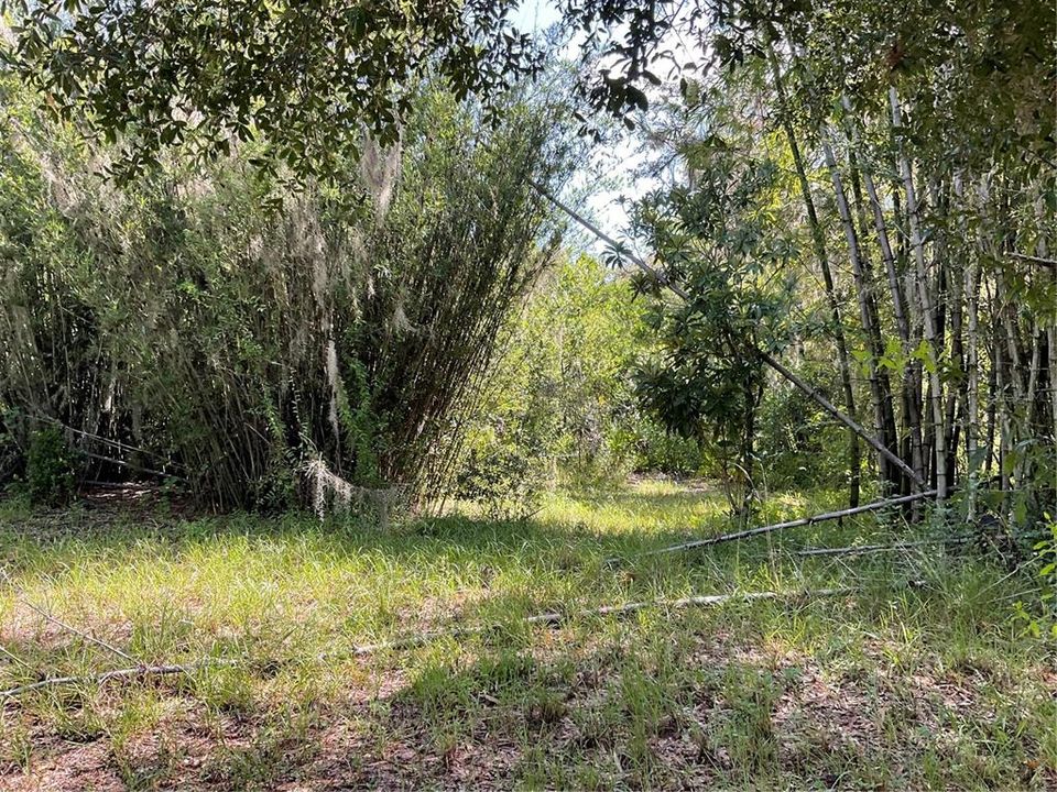 На продажу: $295,500 (2 спален, 1 ванн, 960 Квадратных фут)