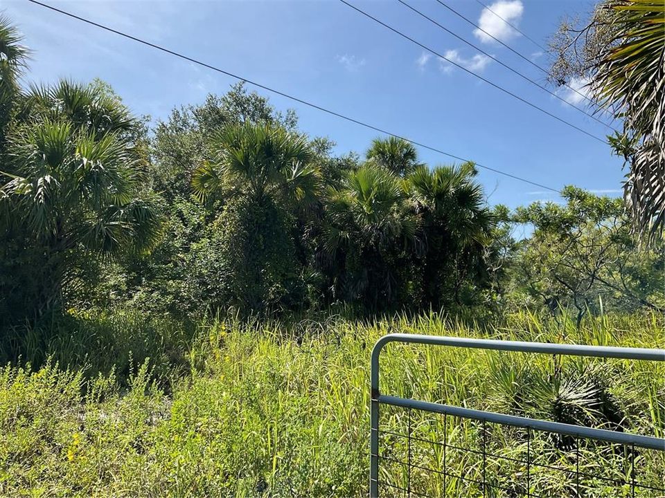 На продажу: $295,500 (2 спален, 1 ванн, 960 Квадратных фут)