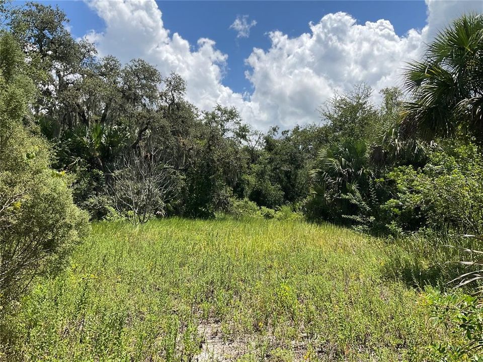 На продажу: $295,500 (2 спален, 1 ванн, 960 Квадратных фут)