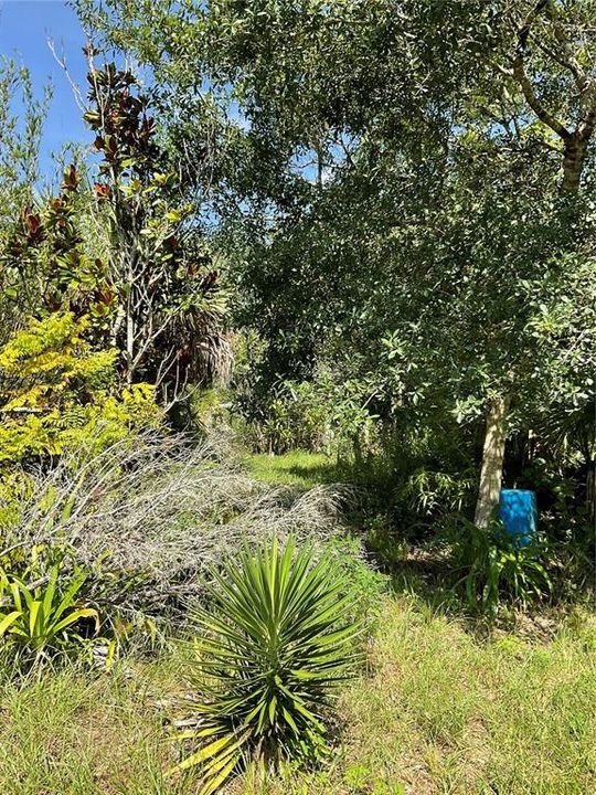 На продажу: $295,500 (2 спален, 1 ванн, 960 Квадратных фут)