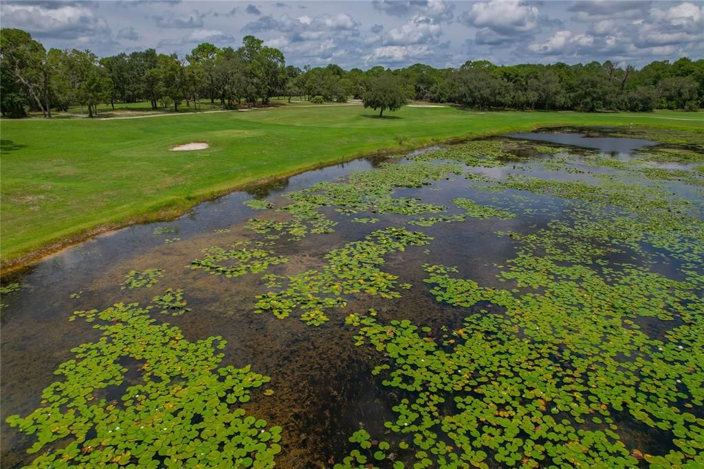 Activo con contrato: $149,900 (2 camas, 2 baños, 1211 Pies cuadrados)