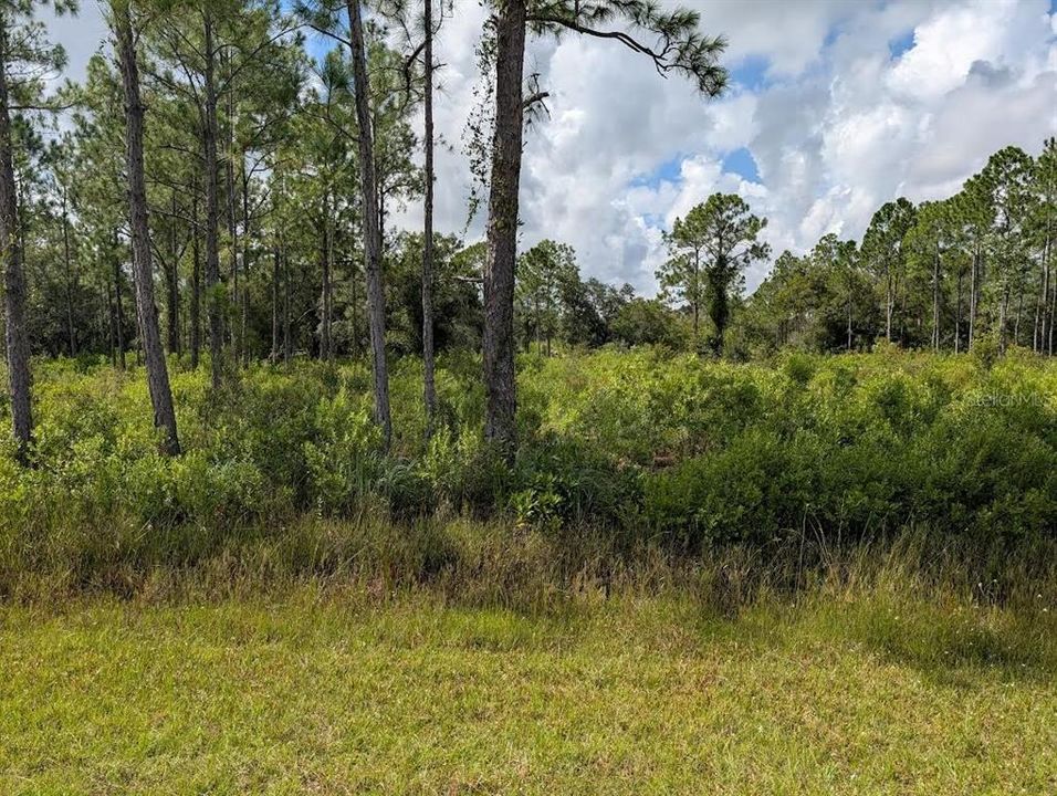 For Sale: $60,000 (1.50 acres)