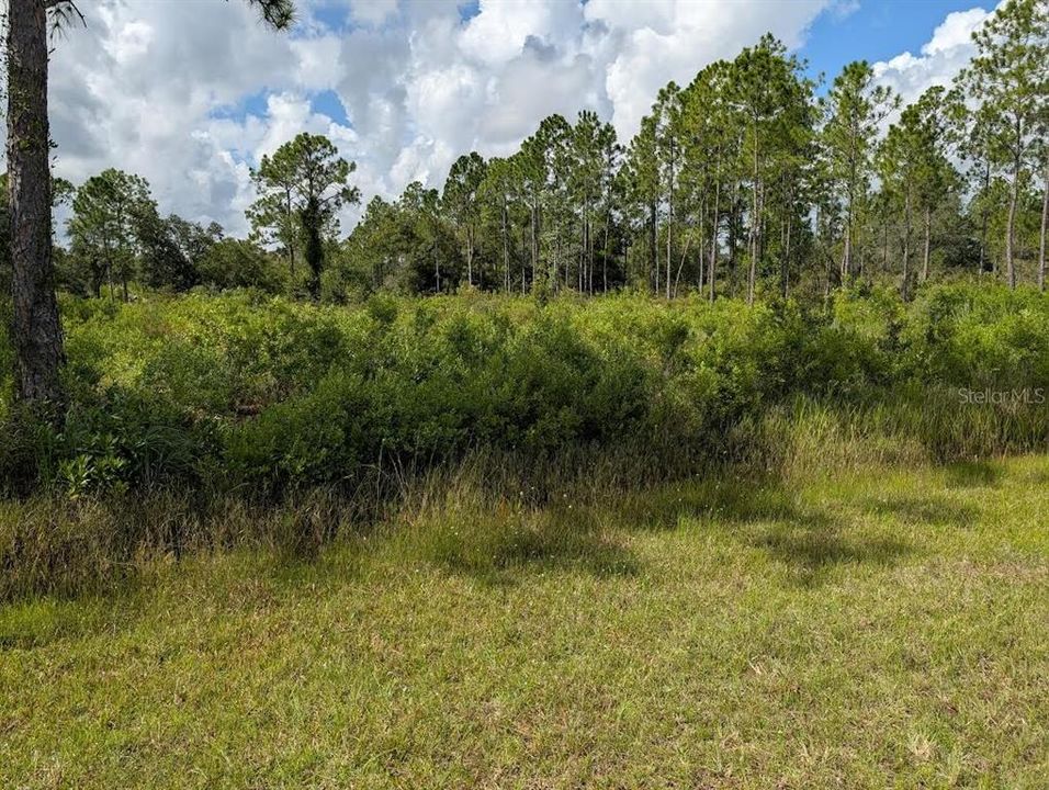 For Sale: $60,000 (1.50 acres)