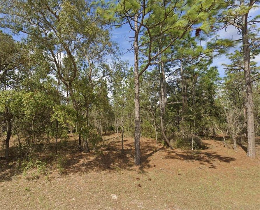 Недавно продано: $60,999 (1.10 acres)