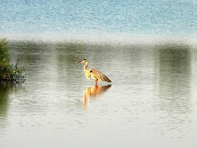 合同活跃: $349,900 (4 贝兹, 2 浴室, 1876 平方英尺)