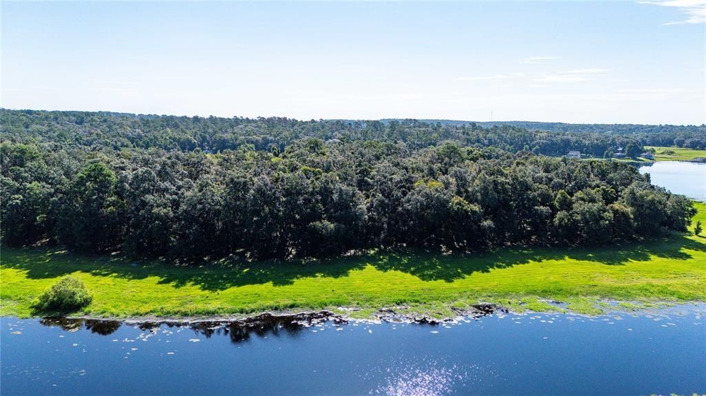 待售: $450,000 (3 贝兹, 2 浴室, 1456 平方英尺)