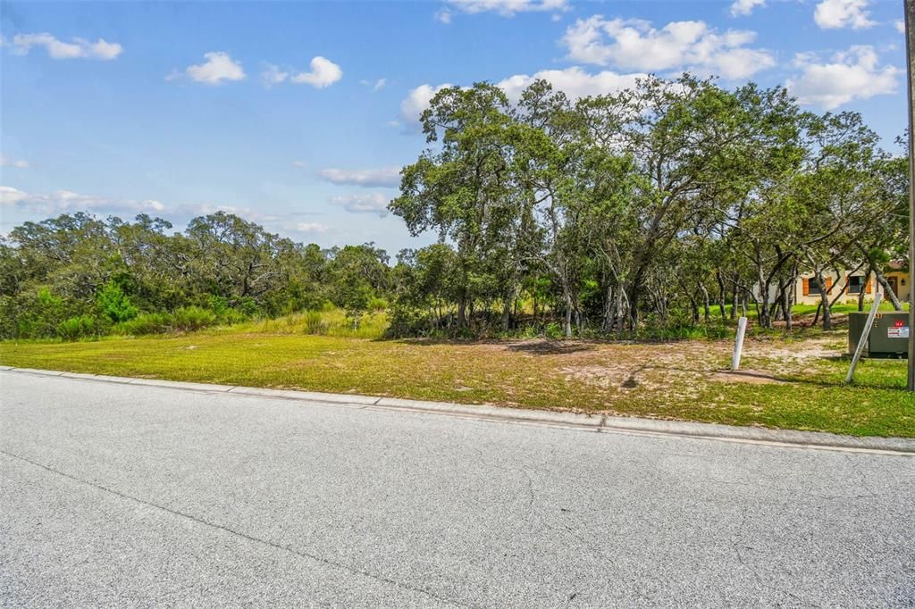 En Venta: $89,988 (1.21 acres)