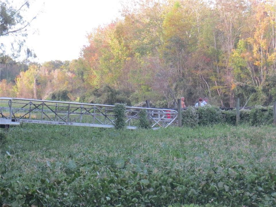 For Sale: $39,900 (0.39 acres)